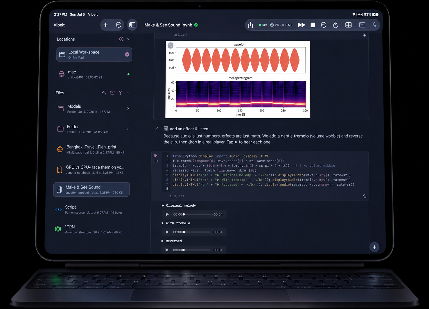 Vibeit su iPad con codice Python, una forma d’onda e uno spettrogramma