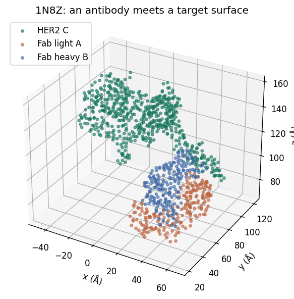 How does an antibody meet a protein surface? — executed figure