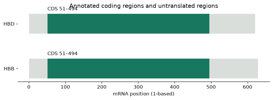 From FASTA to a gene and its protein — executed figure