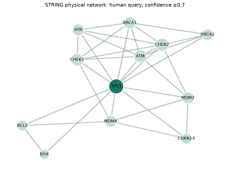 Read a protein interaction network — executed figure